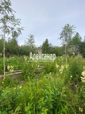 Продам дачу в поселке СНТ &amp;quot;Лесное&amp;quot;, 2-й Заезжий проезд, Выборг г, 3 км от города