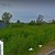 Продам землю для коммерческого использования 563,69 соток, Пулковское ш, Шушары п