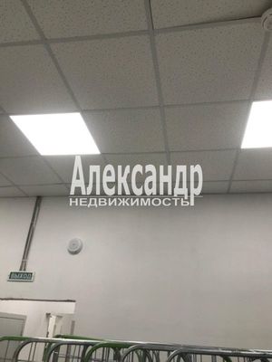 Сдам торговое помещение 300 м2, Тельмана ул, 2, Санкт-Петербург г