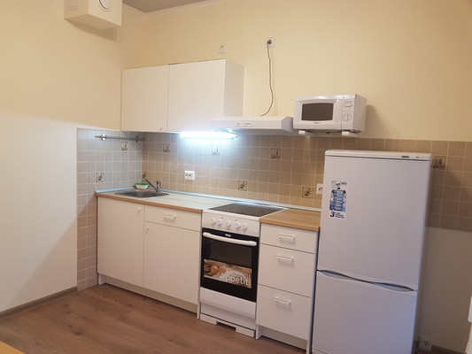 Сдам однокомнатную (1-комн.) квартиру, Суздальское ш, 24к3, Санкт-Петербург г