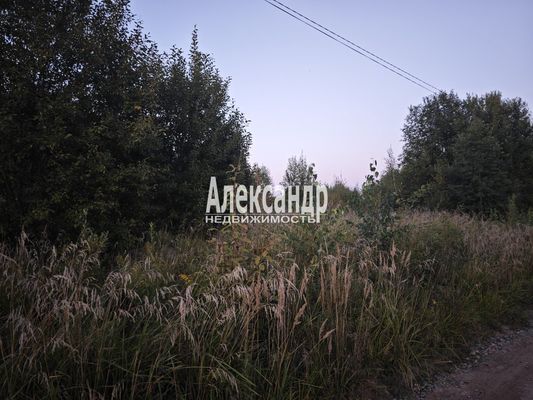 Продам участок 16,06 соток, ДНП, поселок КП Всеволожский, д. 43, Плинтовка д, 26 км от города