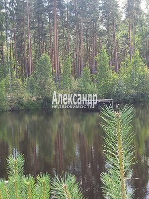 Продам участок 10 соток, ИЖС, Коккорево д, 54 км от города