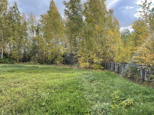 Продам участок 18 соток, ИЖС, Новая ул, Ярки д, 0 км от города