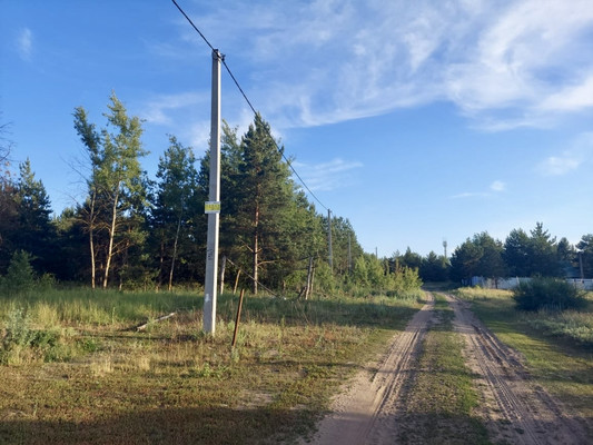 Продам участок 101,12 соток, Фермерское хоз., Новоживотинное с, 0 км от города