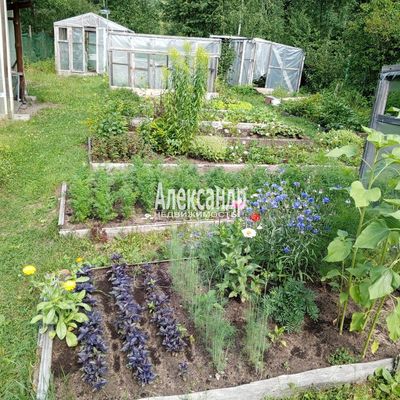 Продам двухкомнатную (2-комн.) квартиру, Грибное ул, 9, Борисова Грива д