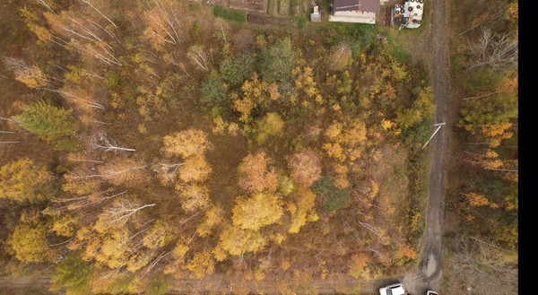 Продам участок 10 соток, ИЖС, 4-я Еловая ул, 6, Комсомольск-на-Амуре г, 0 км от города