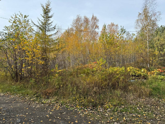 Продам участок 10 соток, ИЖС, 4-я Еловая ул, 6, Комсомольск-на-Амуре г, 0 км от города