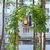 Продам трехкомнатную (3-комн.) квартиру, Гражданский пр-кт, 31к2, Санкт-Петербург г