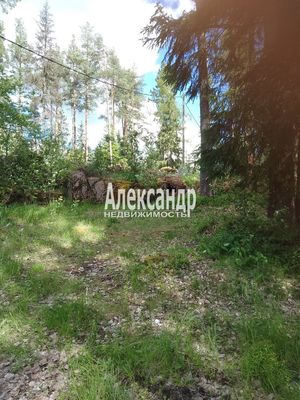 Продам участок 15 соток, ЛПХ, Лужайка п. ж/д ст., 150 км от города