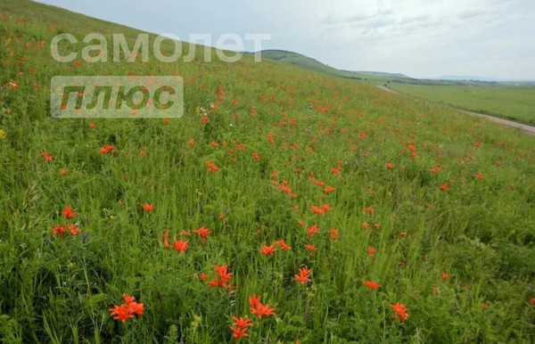 Продам участок 5 005,01 соток, ИЖС, Новая ул, Угдан с, 0 км от города