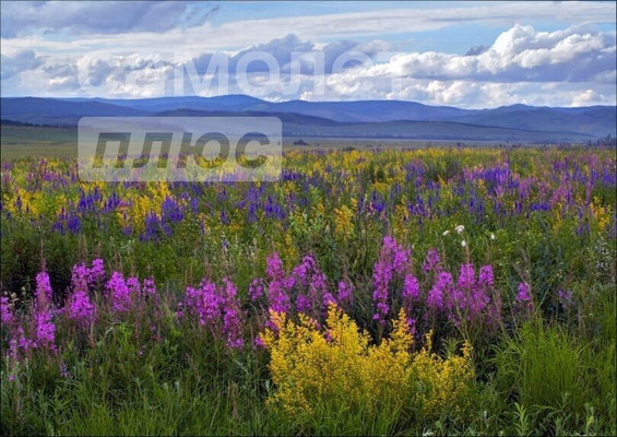 Продам участок 10 соток, Кутузовский проезд, Чита г, 0 км от города