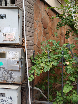 Продам дом, Садовая ул, Ялта г, 0 км от города