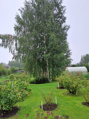 Продам дом, Театральный тер. СНТ, 107, Массив Дивенская тер, 0 км от города