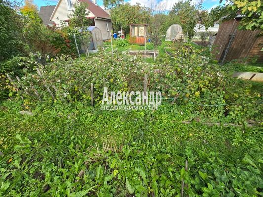 Продам участок 6 соток, Садоводство, Цветочная (СНТ Вуокса тер.) ул, Массив Бойцово дп, 120 км от города
