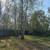 Продам дачу, Вертолет-1 тер. СНТ, 329, Яковлевская д, 0 км от города