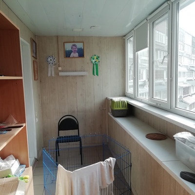 Продам многокомнатную квартиру, Карла Маркса ул, 40, Нижний Новгород г