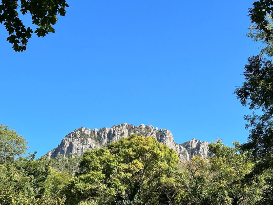 Продам землю для коммерческого использования 1,18 соток, ИЖС, Гостиная ул, Лучистое с