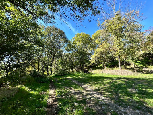 Продам землю для коммерческого использования 1,18 соток, ИЖС, Гостиная ул, Лучистое с