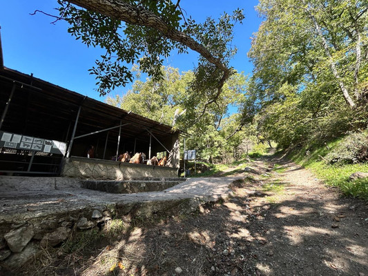 Продам землю для коммерческого использования 1,18 соток, ИЖС, Гостиная ул, Лучистое с