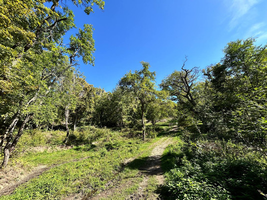 Продам землю для коммерческого использования 1,18 соток, ИЖС, Гостиная ул, Лучистое с