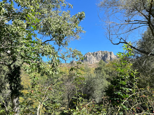 Продам землю для коммерческого использования 1,18 соток, ИЖС, Гостиная ул, Лучистое с