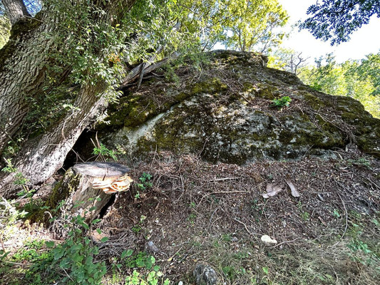 Продам землю для коммерческого использования 1,18 соток, ИЖС, Гостиная ул, Лучистое с