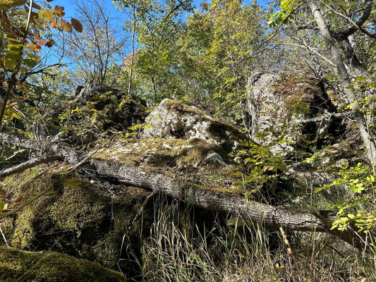 Продам землю для коммерческого использования 1,18 соток, ИЖС, Гостиная ул, Лучистое с