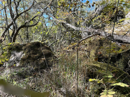 Продам землю для коммерческого использования 1,18 соток, ИЖС, Гостиная ул, Лучистое с