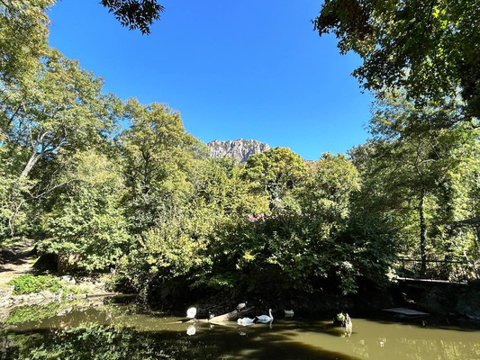 Продам землю для коммерческого использования 1,18 соток, ИЖС, Гостиная ул, Лучистое с