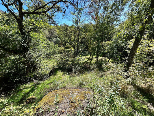 Продам землю для коммерческого использования 1,18 соток, ИЖС, Гостиная ул, Лучистое с