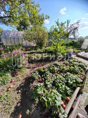 Продам участок 8,62 соток, Фермерское хоз., СНТ Цементник тер, 0 км от города