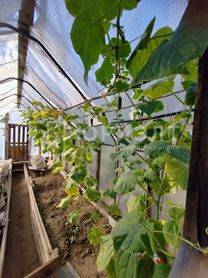 Продам участок 8,62 соток, Фермерское хоз., СНТ Цементник тер, 0 км от города