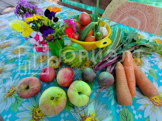 Продам участок 8,62 соток, Фермерское хоз., СНТ Цементник тер, 0 км от города