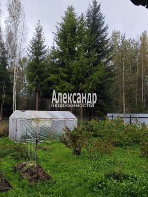 Продам дачу, 24-я линия, Надежда ВАТТ тер. СНТ, 90 км от города