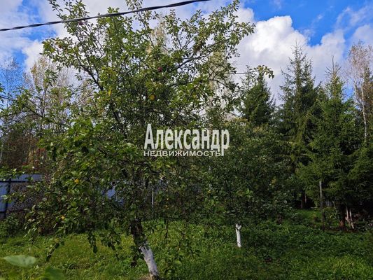 Продам дачу, 24-я линия, Надежда ВАТТ тер. СНТ, 90 км от города