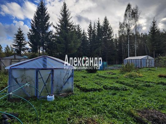 Продам дачу, 24-я линия, Надежда ВАТТ тер. СНТ, 90 км от города