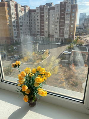 Продам однокомнатную (1-комн.) квартиру, Сибгата Хакима ул, 37, Казань г