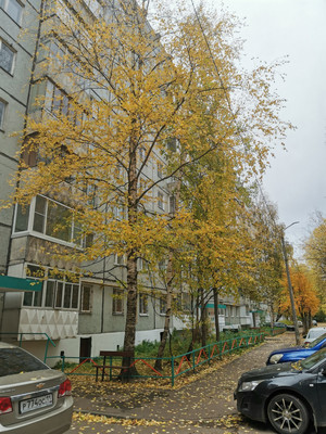 Продам трехкомнатную (3-комн.) квартиру, Малышева ул, 11, Сыктывкар г