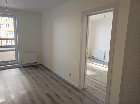 Продам однокомнатную (1-комн.) квартиру, Первых ул, 2ак3, Новосаратовка д