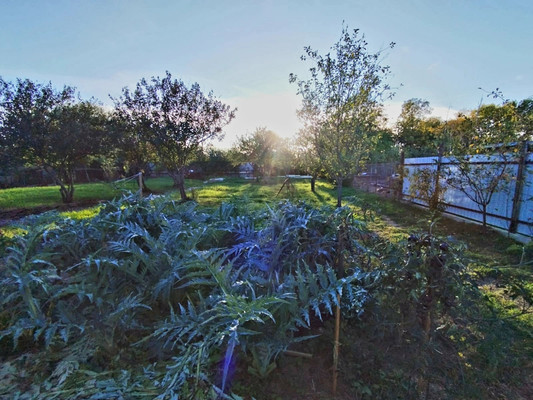 Продам дом, Подлесная ул, 48, Апшеронск г, 0 км от города