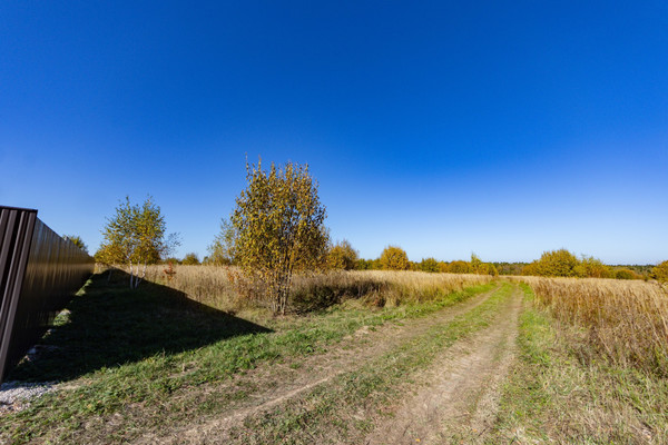 Продам участок 100 соток, Фермерское хоз., Веткино (Коллонтай) д, 0 км от города