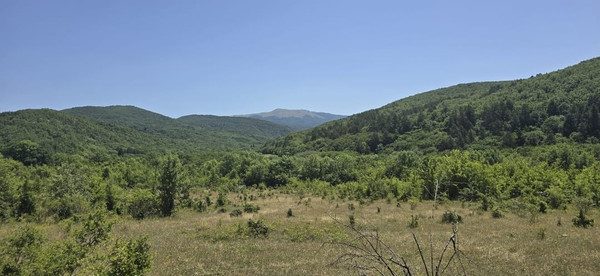 Продам участок 2,3 соток, Фермерское хоз., Синапное с, 0 км от города