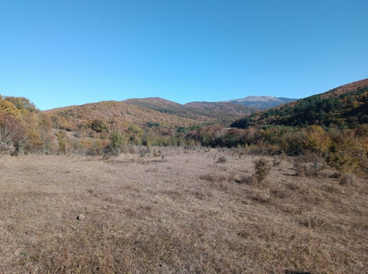 Продам участок 2,3 соток, Фермерское хоз., Синапное с, 0 км от города