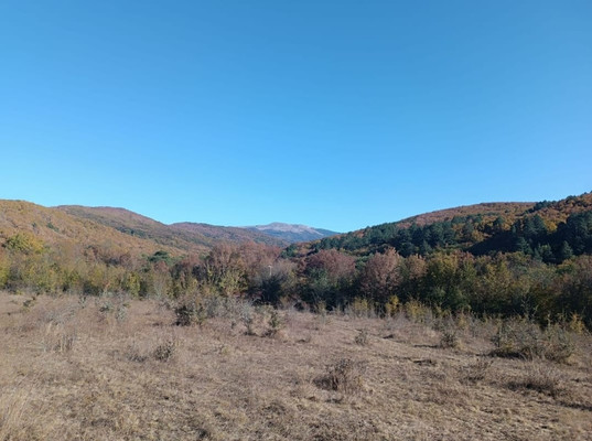 Продам участок 2,3 соток, Фермерское хоз., Синапное с, 0 км от города