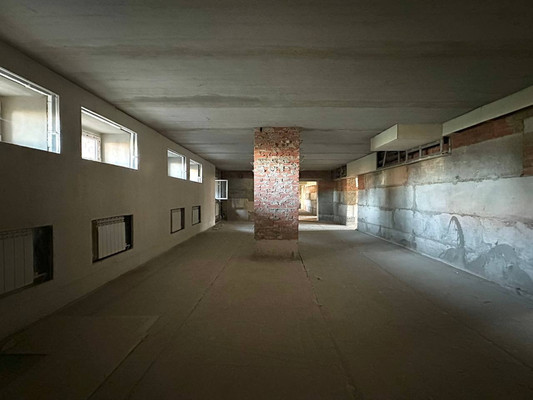 Продам коммерческое помещение 222,7 м2, Порфирьева ул, 5, Ишим г