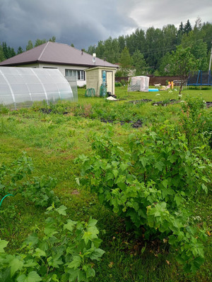 Продам коттедж, Шанс тер. СНТ, Ногово д, 0 км от города