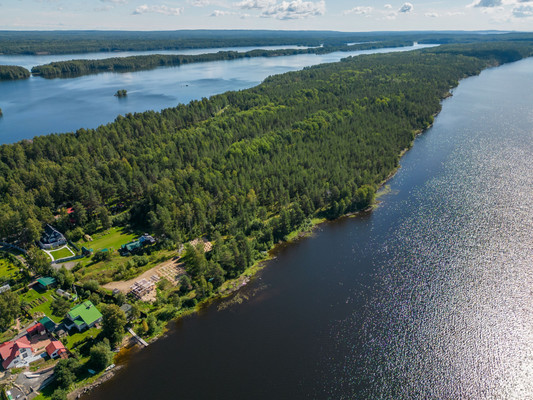 Продам землю для коммерческого использования 50 соток, Садоводство, Царевичи д