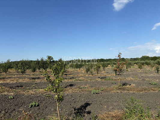Продам участок 10 соток, ИЖС, Экономическое с, 0 км от города
