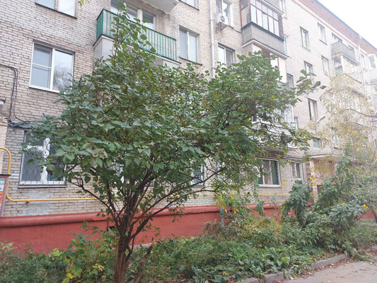 Сдам двухкомнатную (2-комн.) квартиру, Академика Комарова ул, 11Б, Москва г