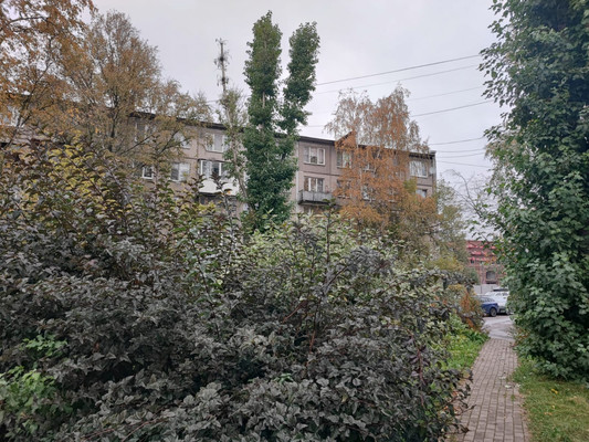 Продам однокомнатную (1-комн.) квартиру, Ольминского ул, 16А, Санкт-Петербург г